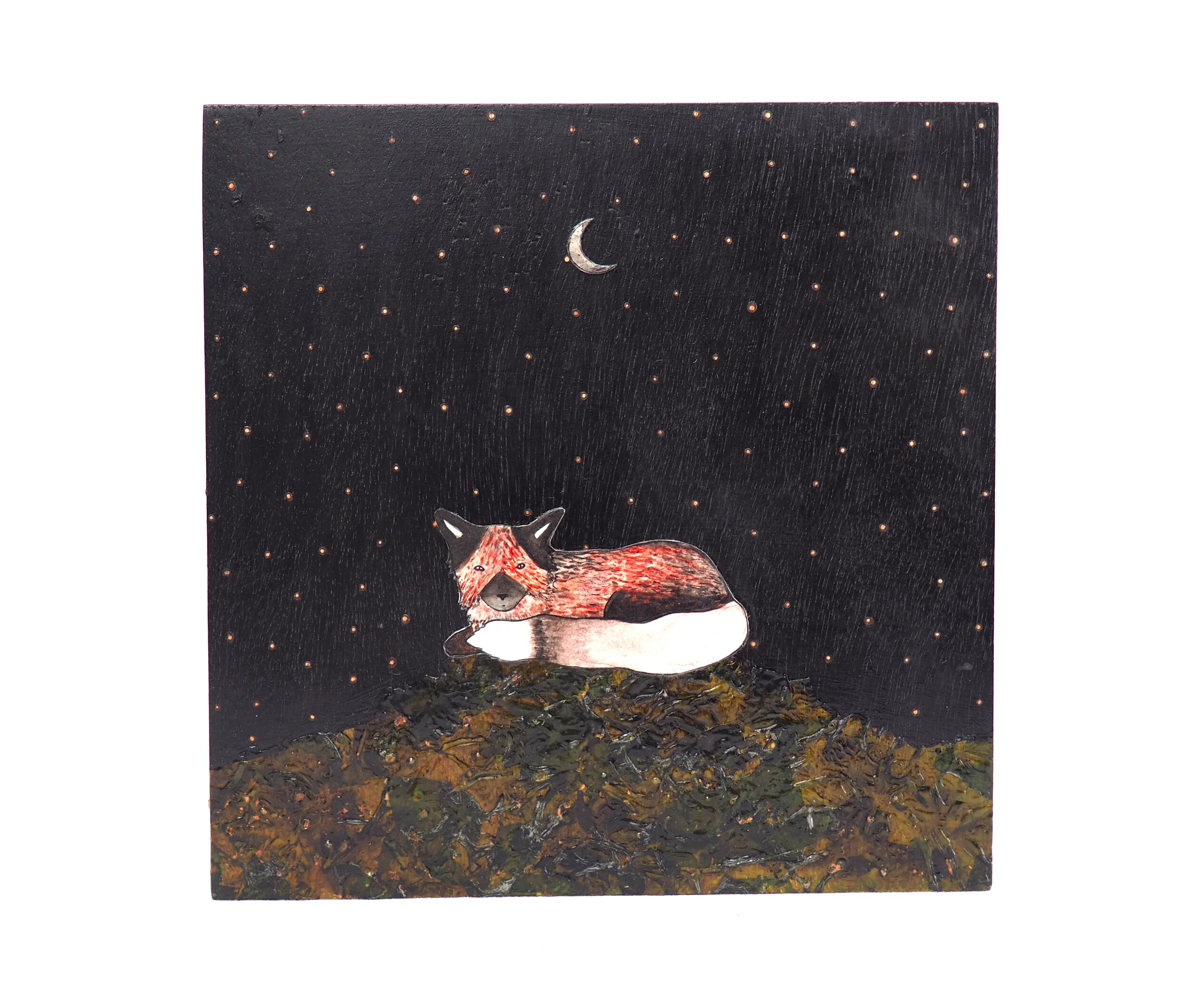 Fox1528(10x10)2020.JPG