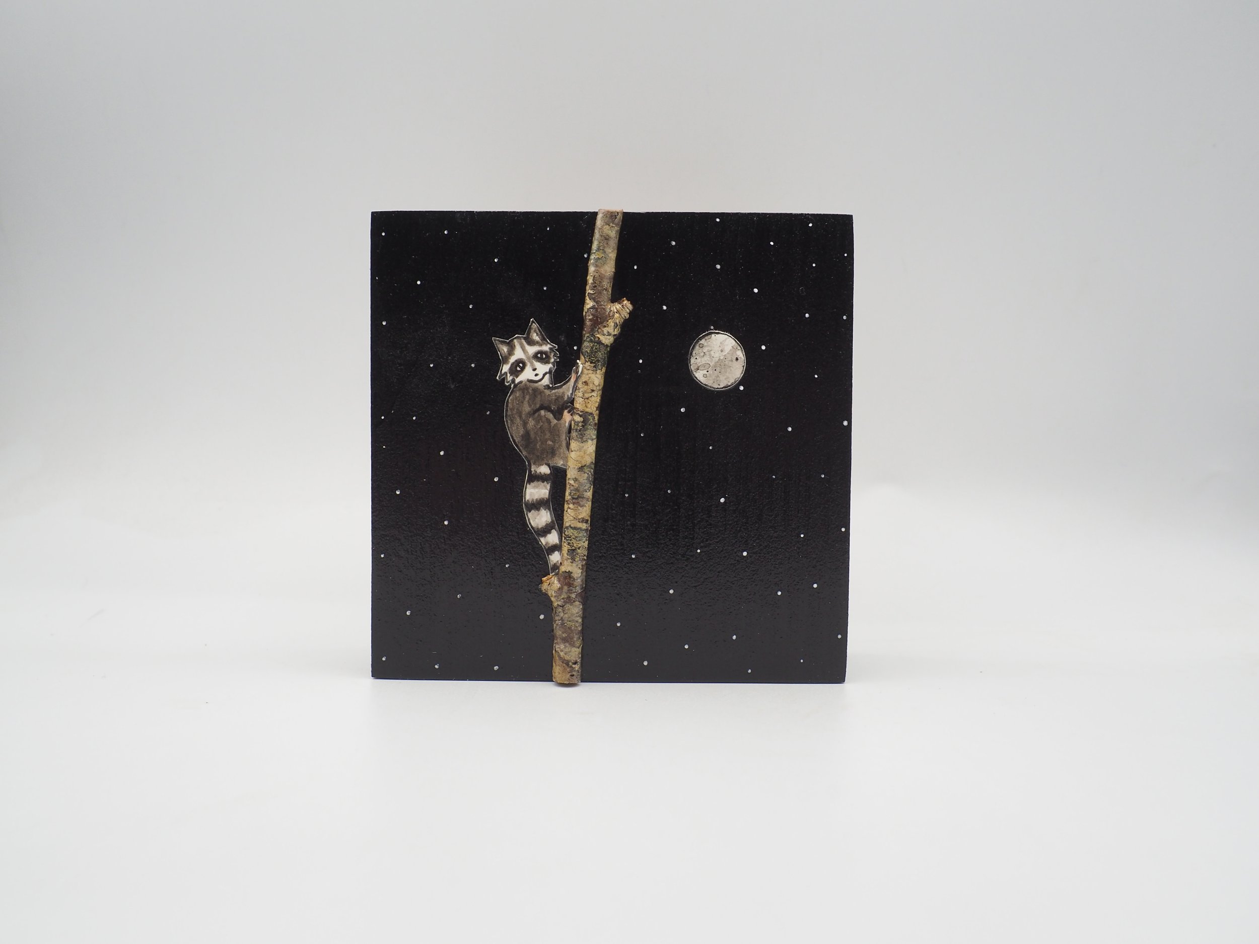 Raccoon131(3.5x3.5)2024.JPG