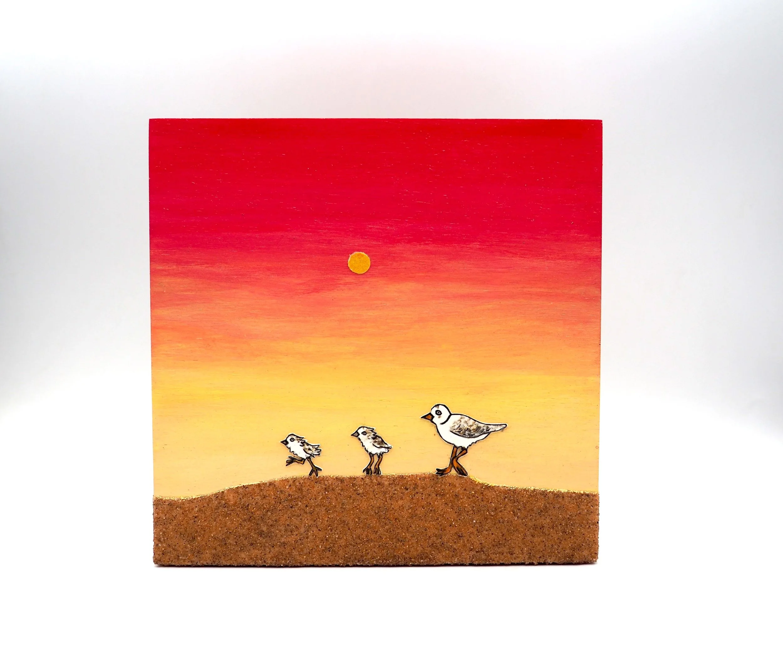 PipingPlover134(5x5)2024.JPG