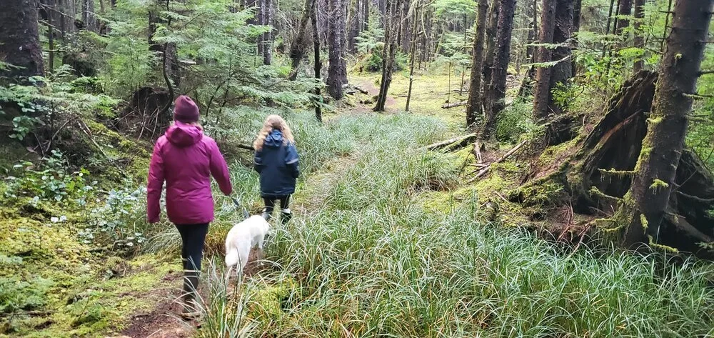 Spring 2021 Newsletter