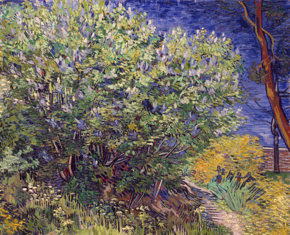 Van Gogh, 1889