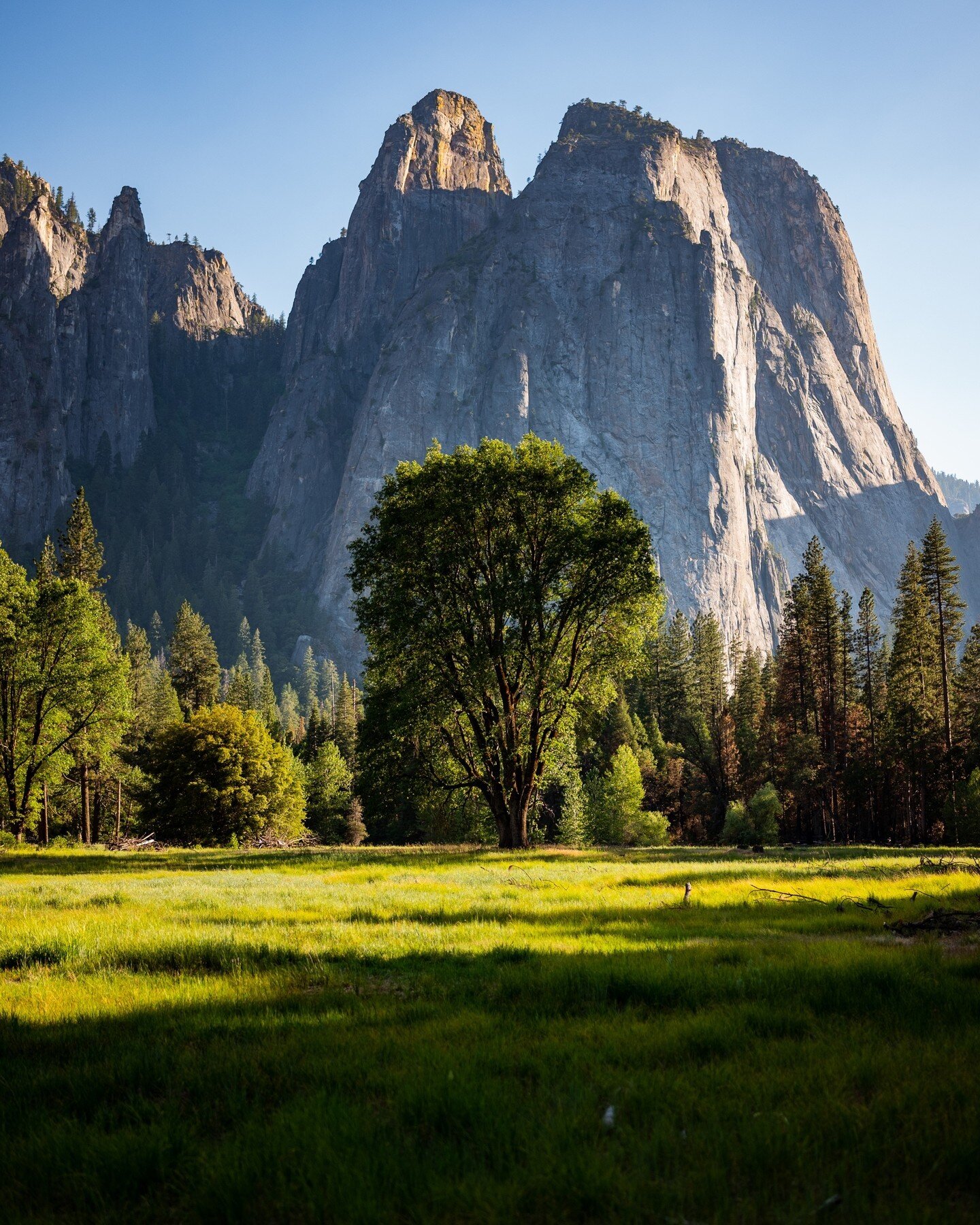 Much has been written about Yosemite - and indeed, paeans to the grandeur of its cliffs, valleys, waterfalls, and trees are accurate. This photograph was an unexpected stroke of good luck - we wandered into a quiet clearing with not a soul around, wi