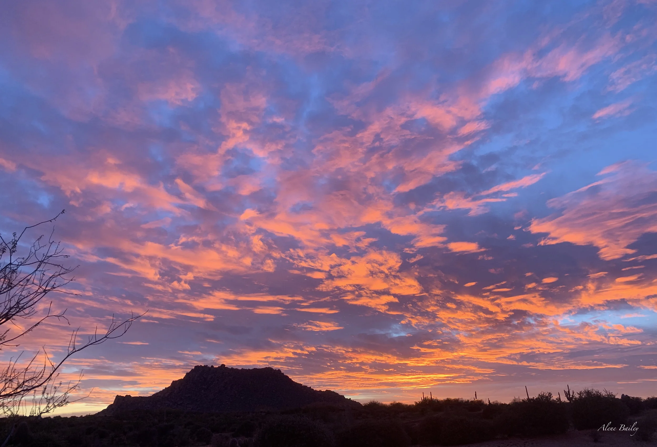 sunset with signature.jpeg