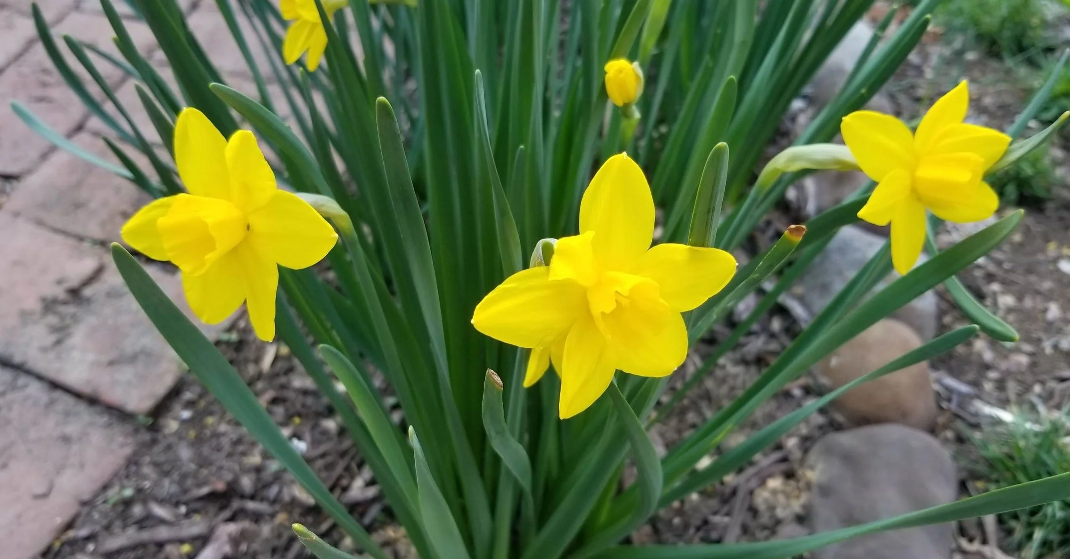 20190406_163604.jpg