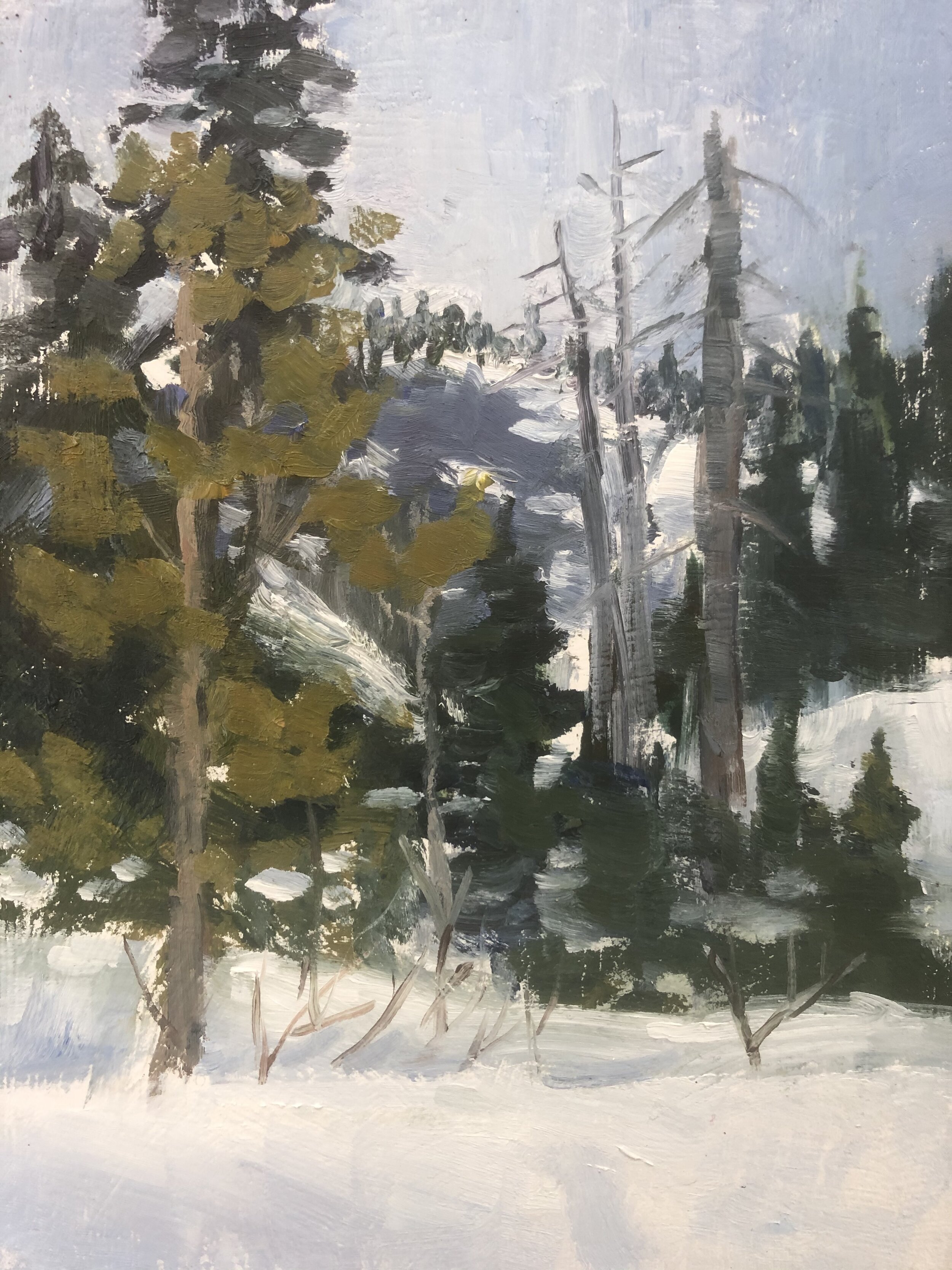  SOLD Snow at the Pass 6x8 