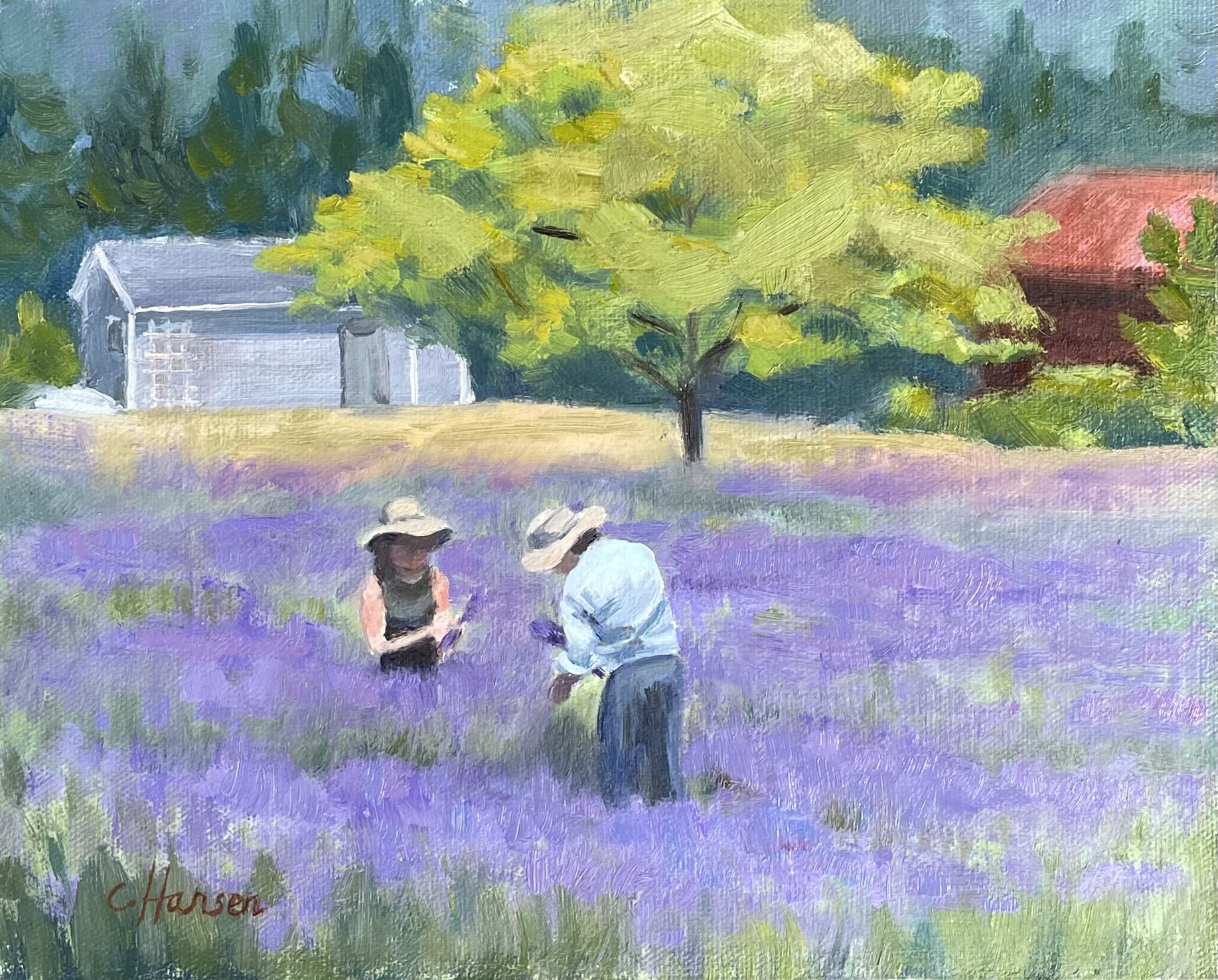 Lavender Harvest, 8"x10"