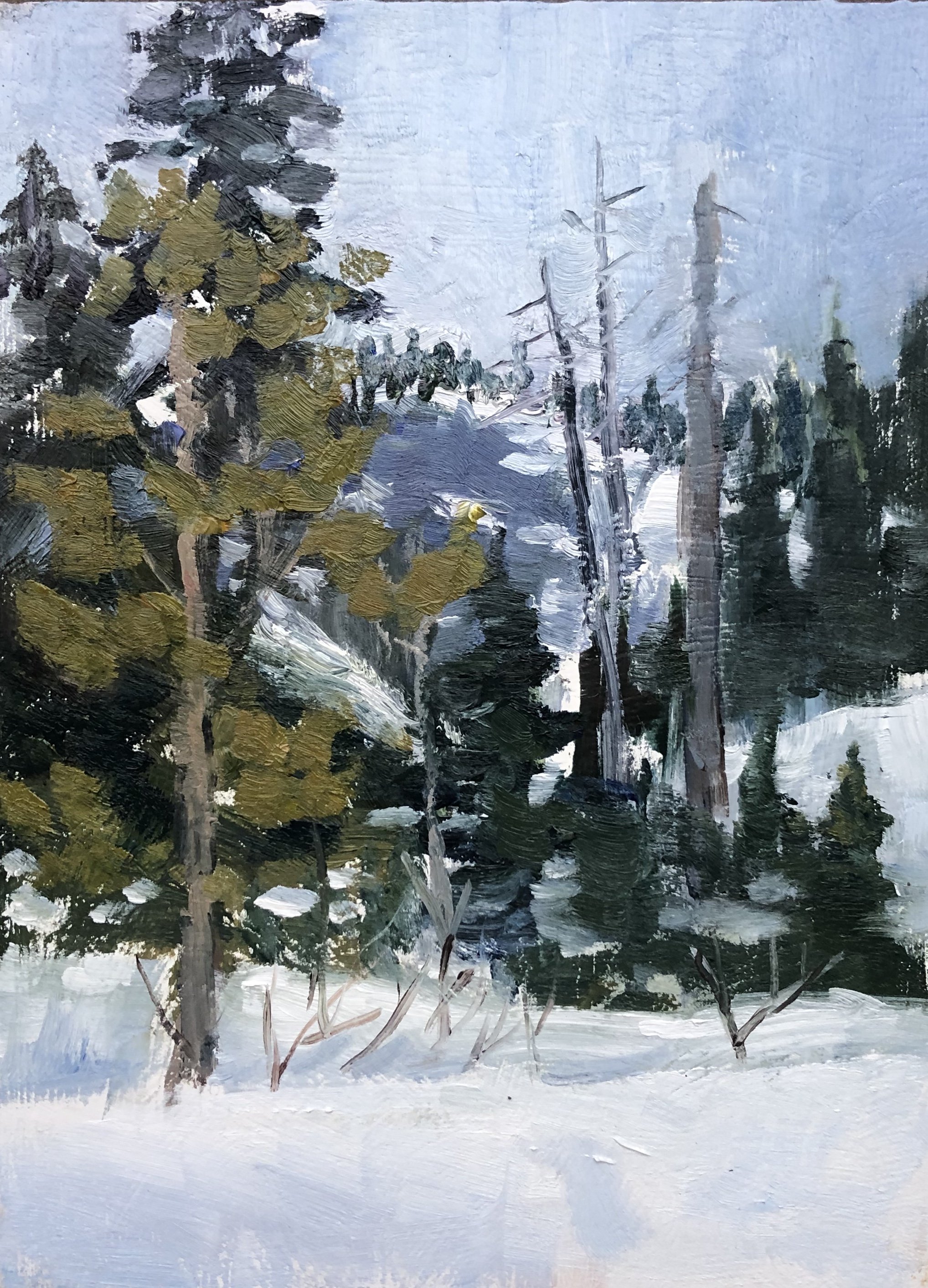 Cascade Winter, 6"x8"