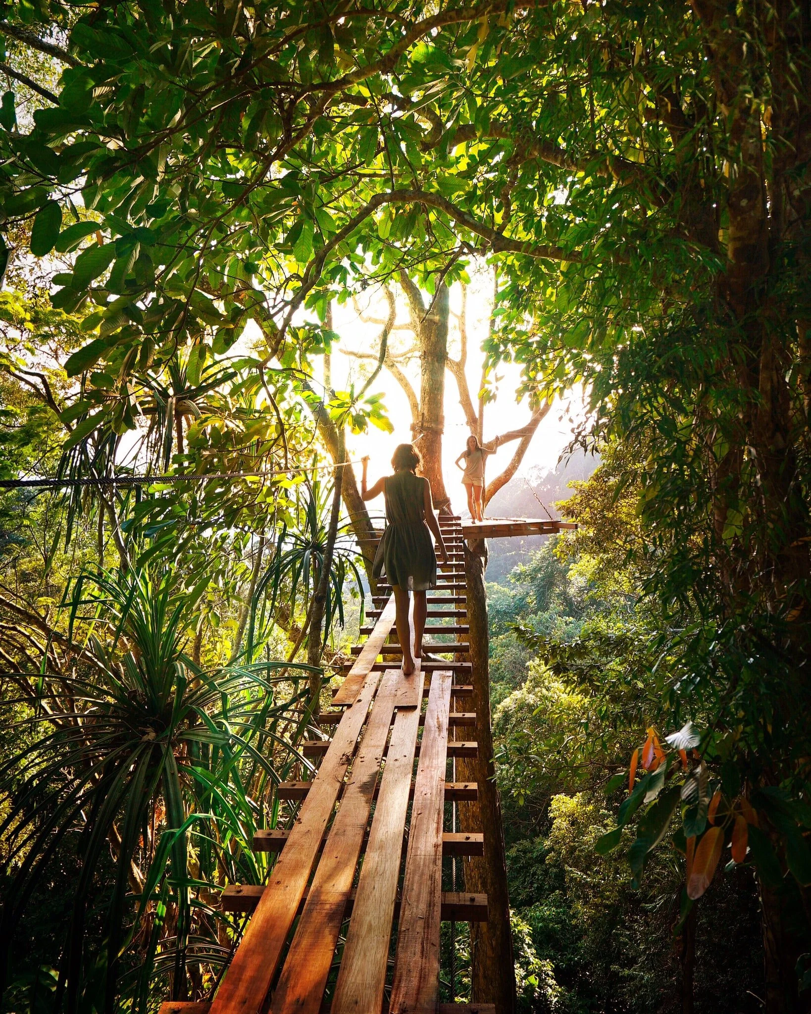 nurture the courage to be core values