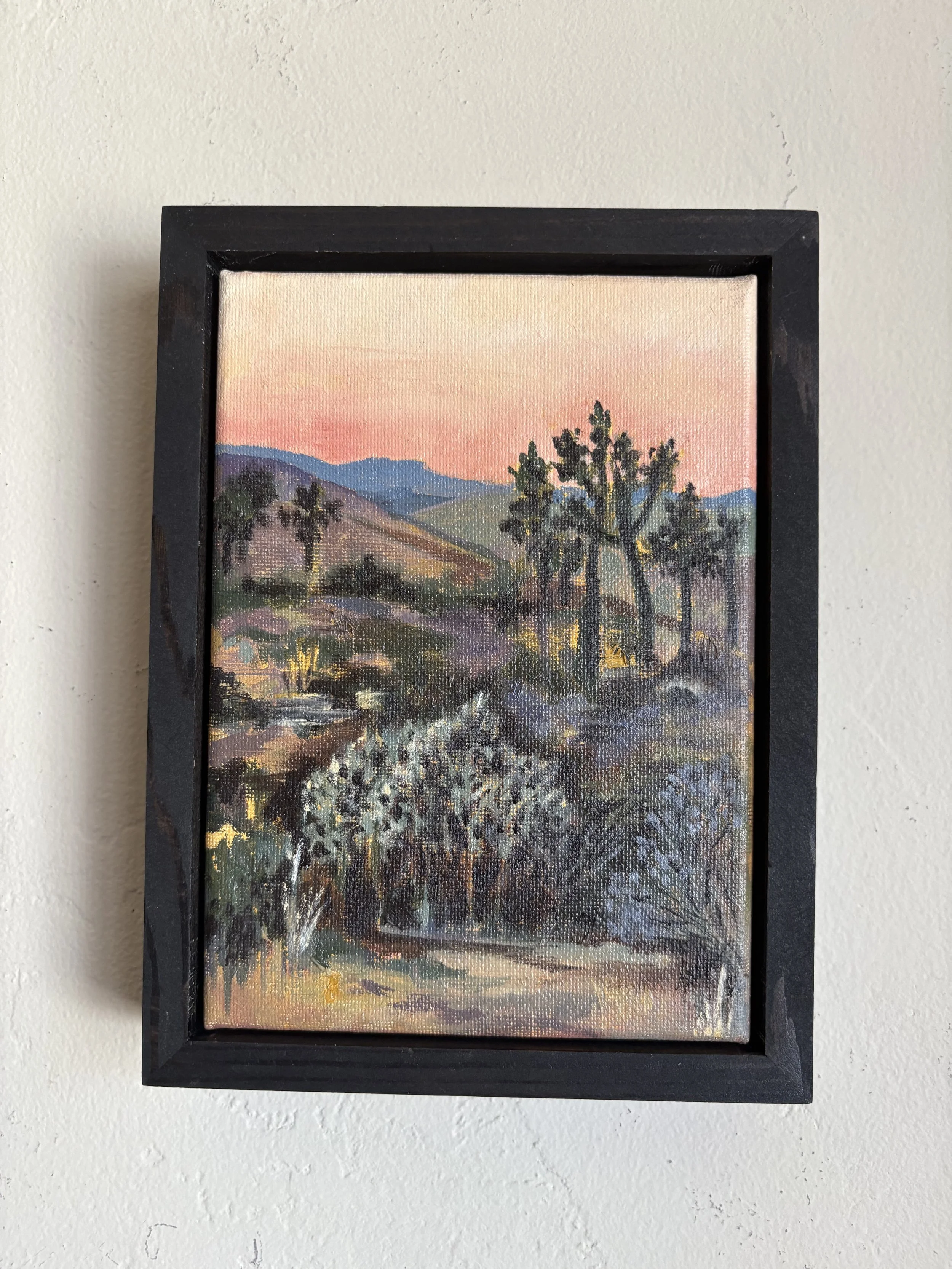 "Sunset-Joshua Tree"