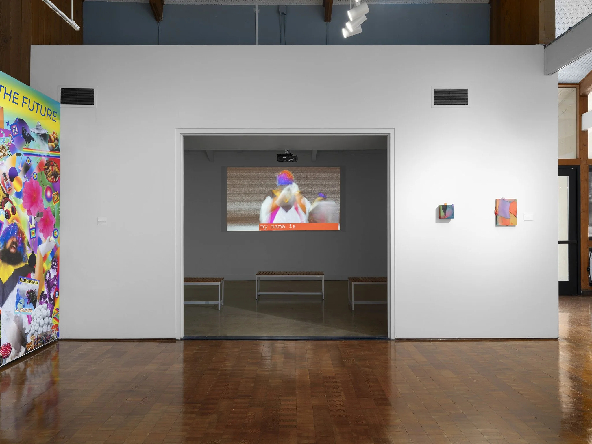 Video Art installation of Smuggled Interdimensional Transmission parts 1 and 2 at Irvine Fine Arts Center as a part of First Day Of Spring Is Today curated by Virginia Arce.