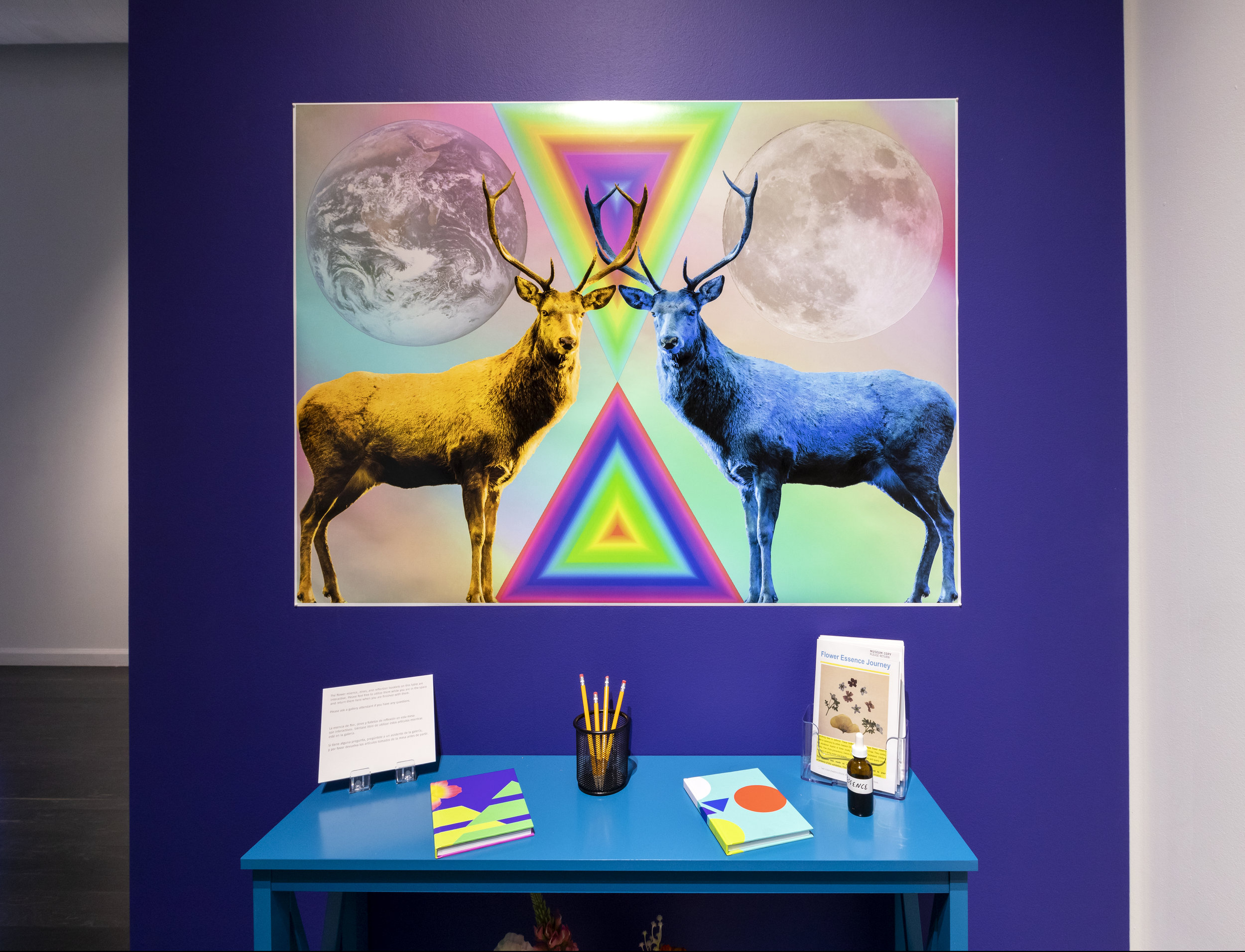 5-14-2019_EdgarFabianF_ArtInstall_16.jpg