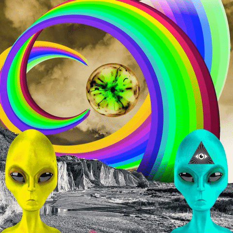 Cat Wtf GIF by MUTANT MAGIC-downsized_large.gif