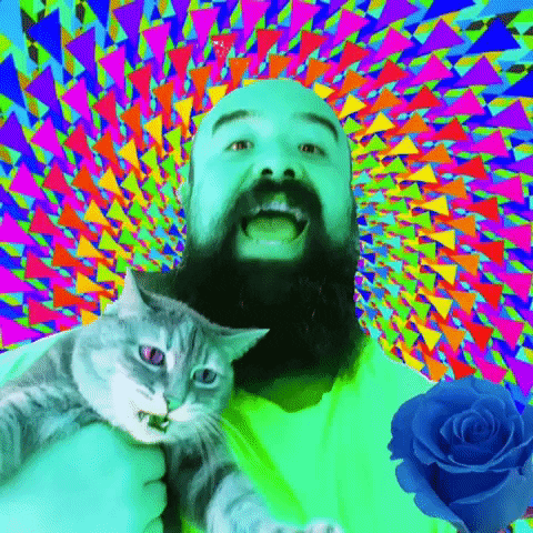 Cat Wtf GIF by MUTANT MAGIC-downsized_large.gif