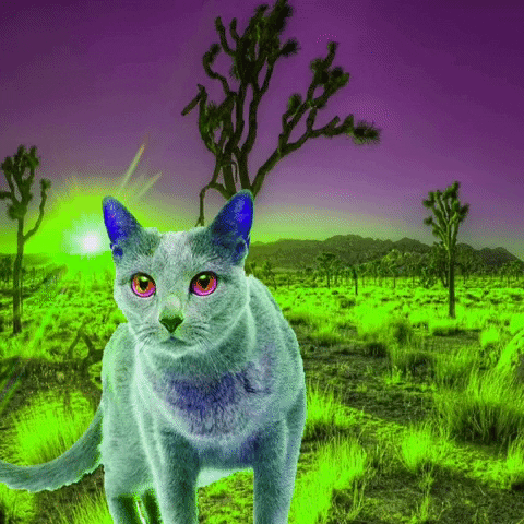 Happy Flying Saucer GIF by MUTANT MAGIC-downsized_large.gif