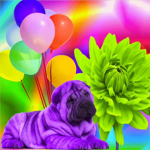 Flying Stop Motion GIF by MUTANT MAGIC-downsized_large.gif