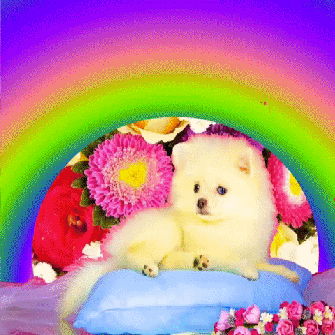 Dog Wow GIF by MUTANT MAGIC-downsized_large.gif