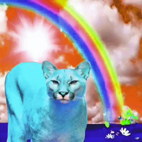 Cat Yes GIF by MUTANT MAGIC-downsized_large.gif