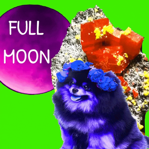 Los Angeles Yes GIF by MUTANT MAGIC-downsized_large.gif