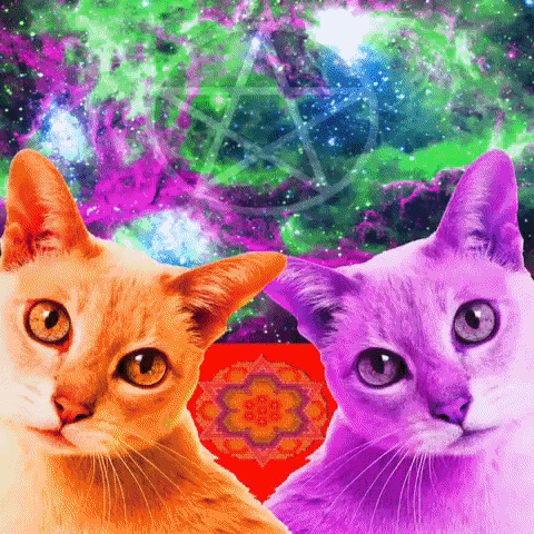 Happy Cat GIF by MUTANT MAGIC-downsized_large.gif