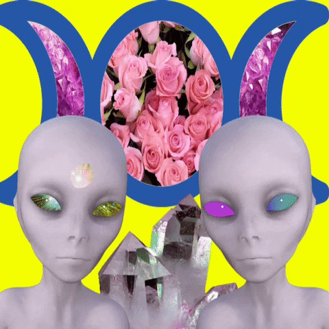 Fun Wtf GIF by MUTANT MAGIC-downsized_large.gif