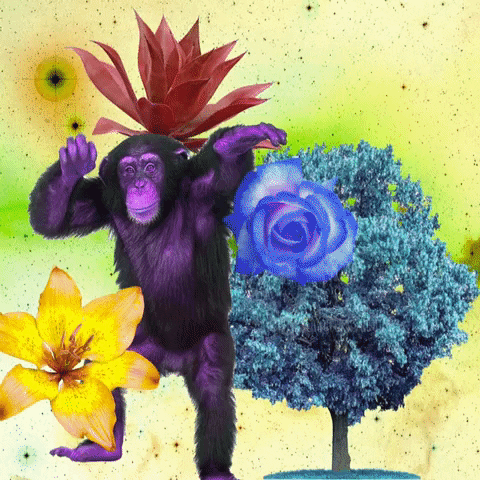Los Angeles Rose GIF by MUTANT MAGIC-downsized_large.gif