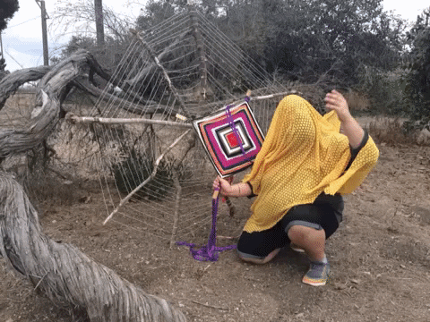 San Pedro Mexico GIF by MUTANT MAGIC-downsized_large.gif