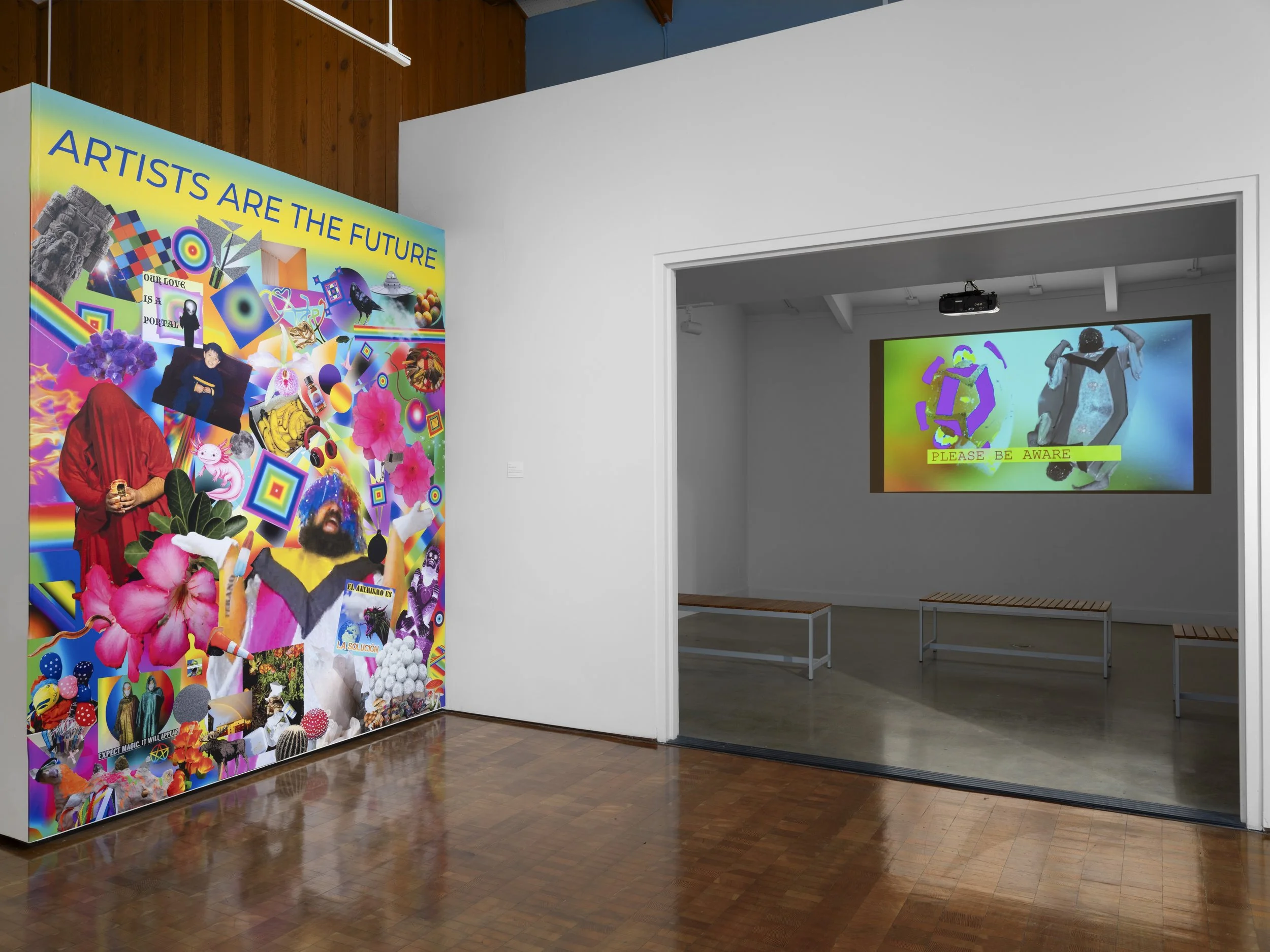 Video Art installation of Smuggled Interdimensional Transmission parts 1 and 2 at Irvine Fine Arts Center as a part of First Day Of Spring Is Today curated by Virginia Arce.