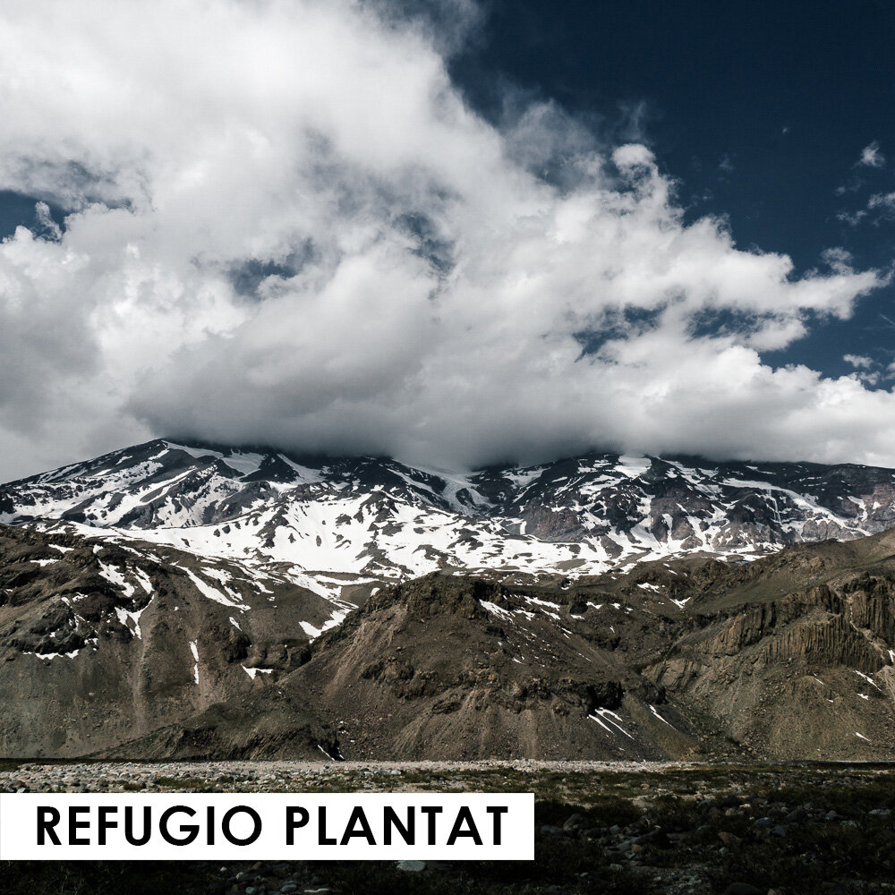 Refugio_plantat.jpg