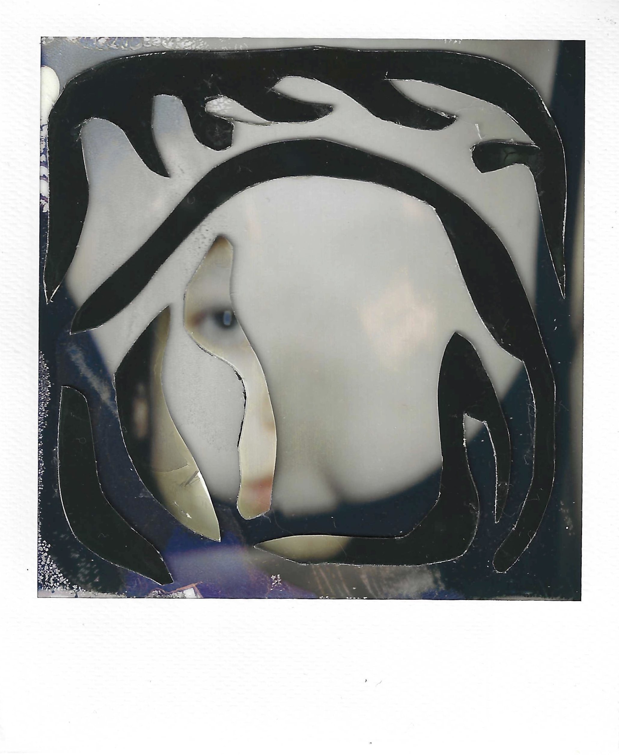 polaroids.jpeg