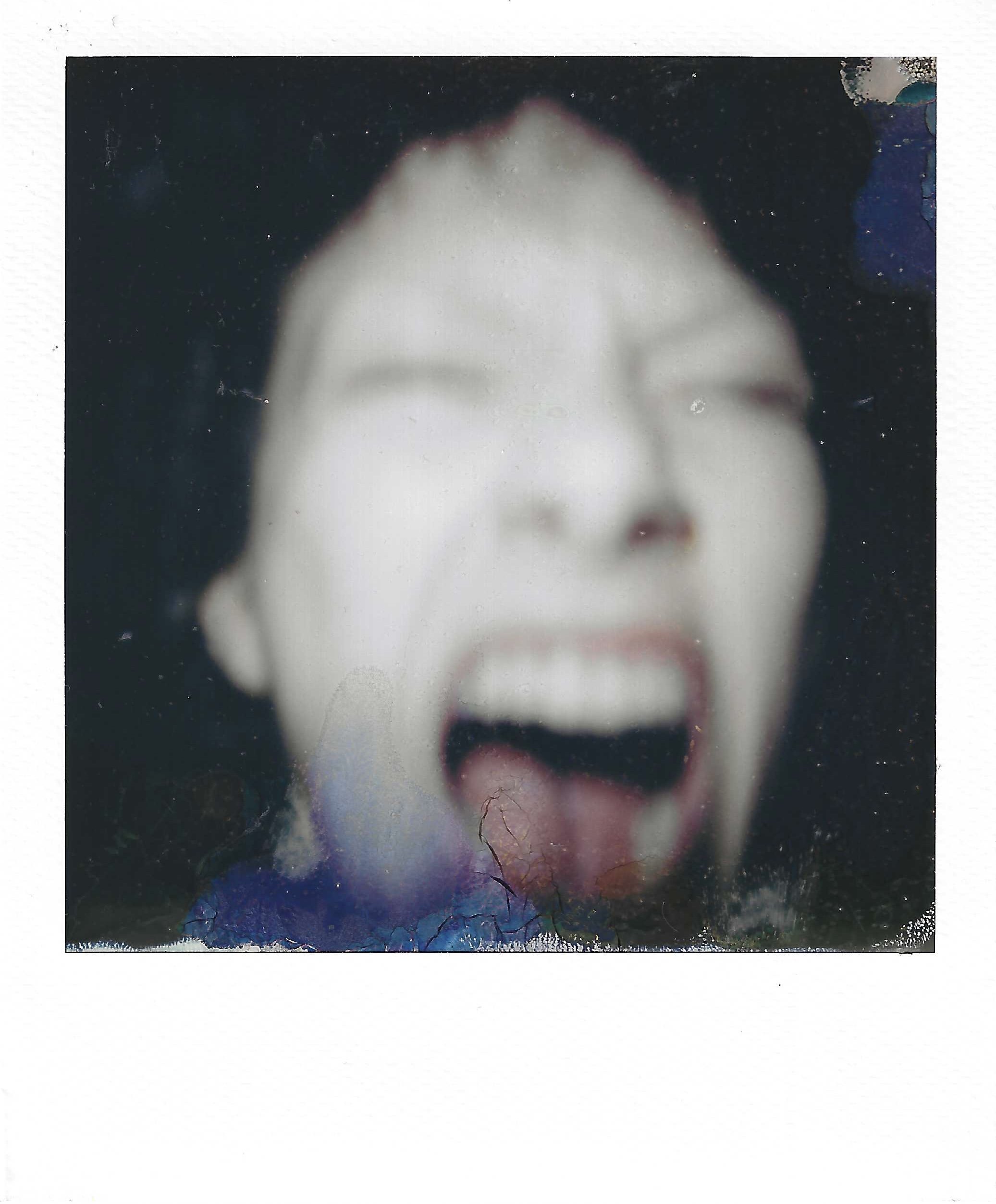 polaroids 2.jpeg