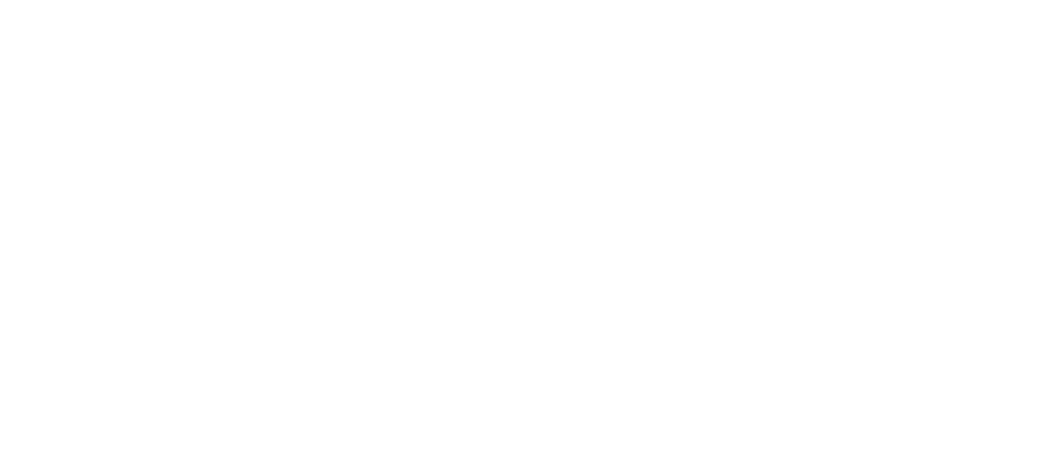 City Manners dog training and Services