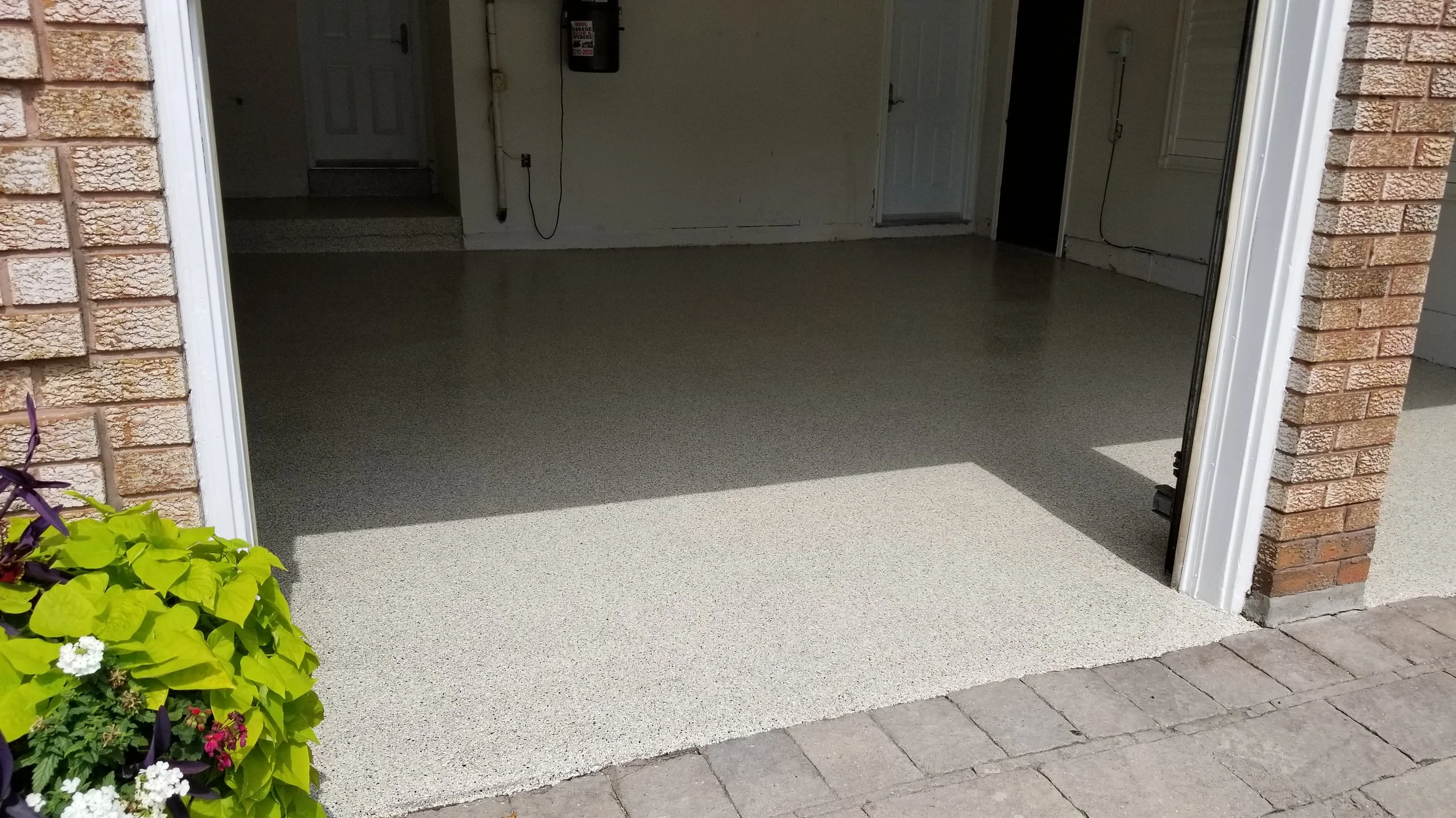 20190821_124123.jpg