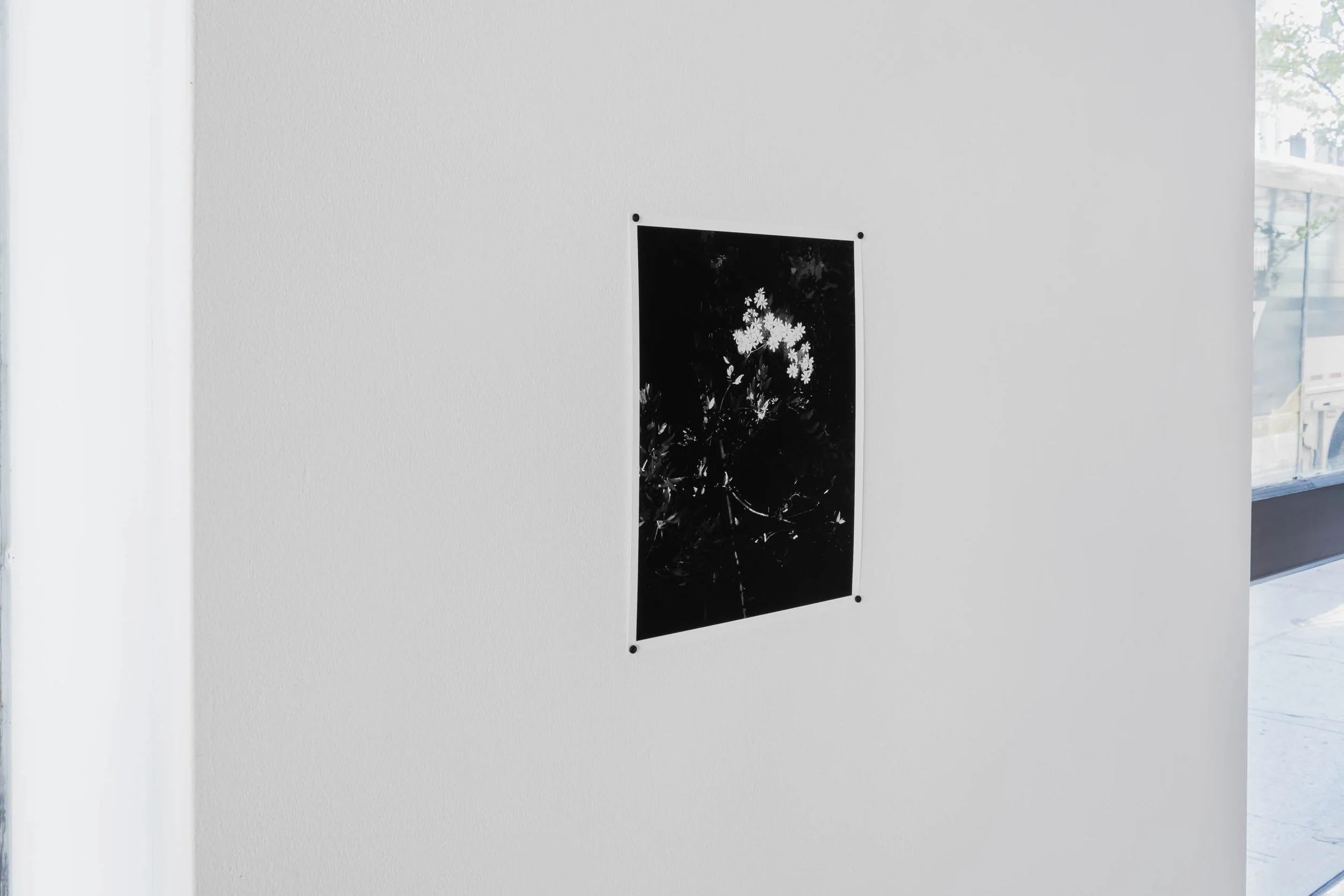 ''to: the moon'' at the VAV gallery (2021)