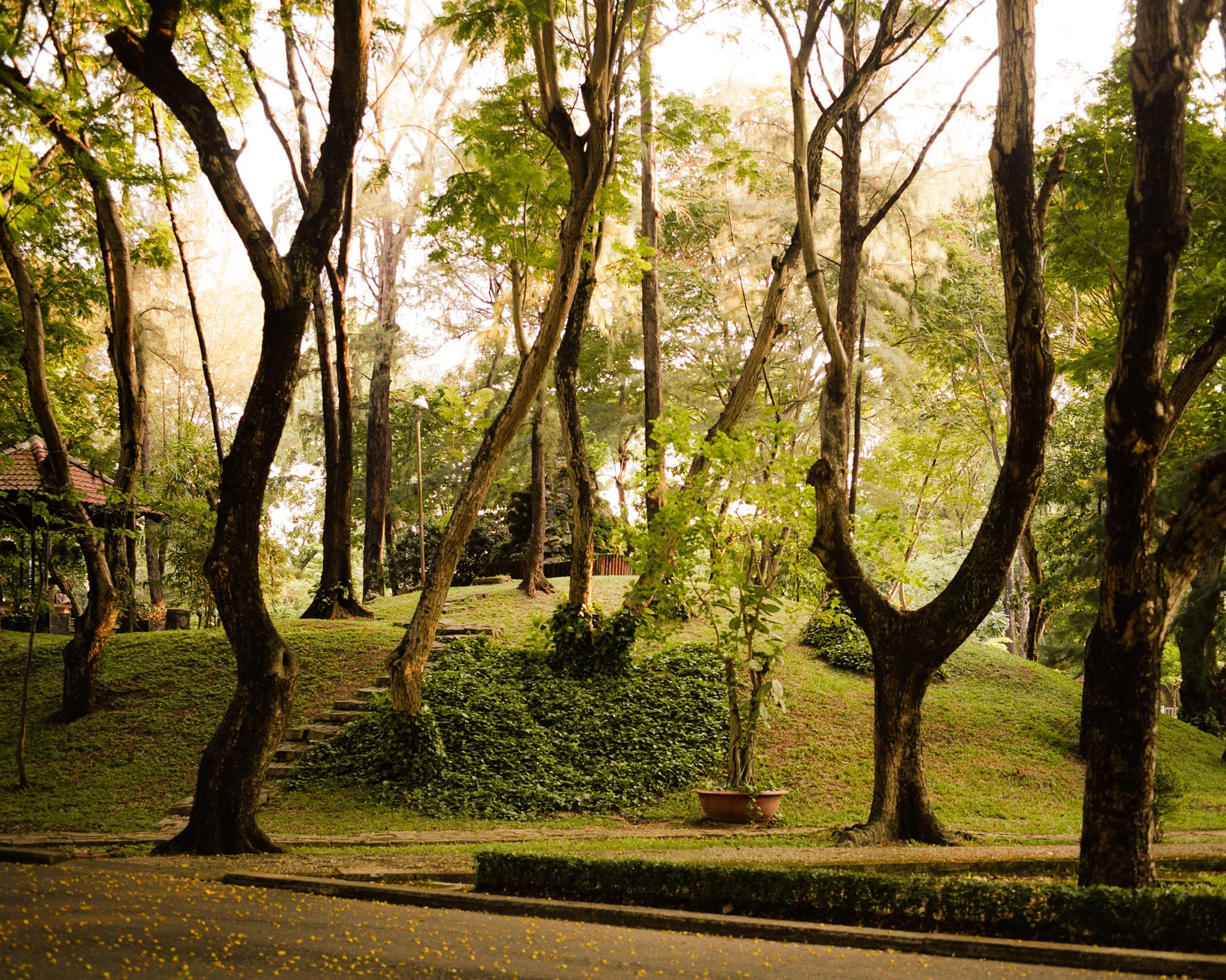 000315640002-Edit.jpg