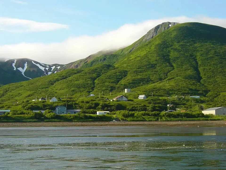 Annual Meeting Election Results