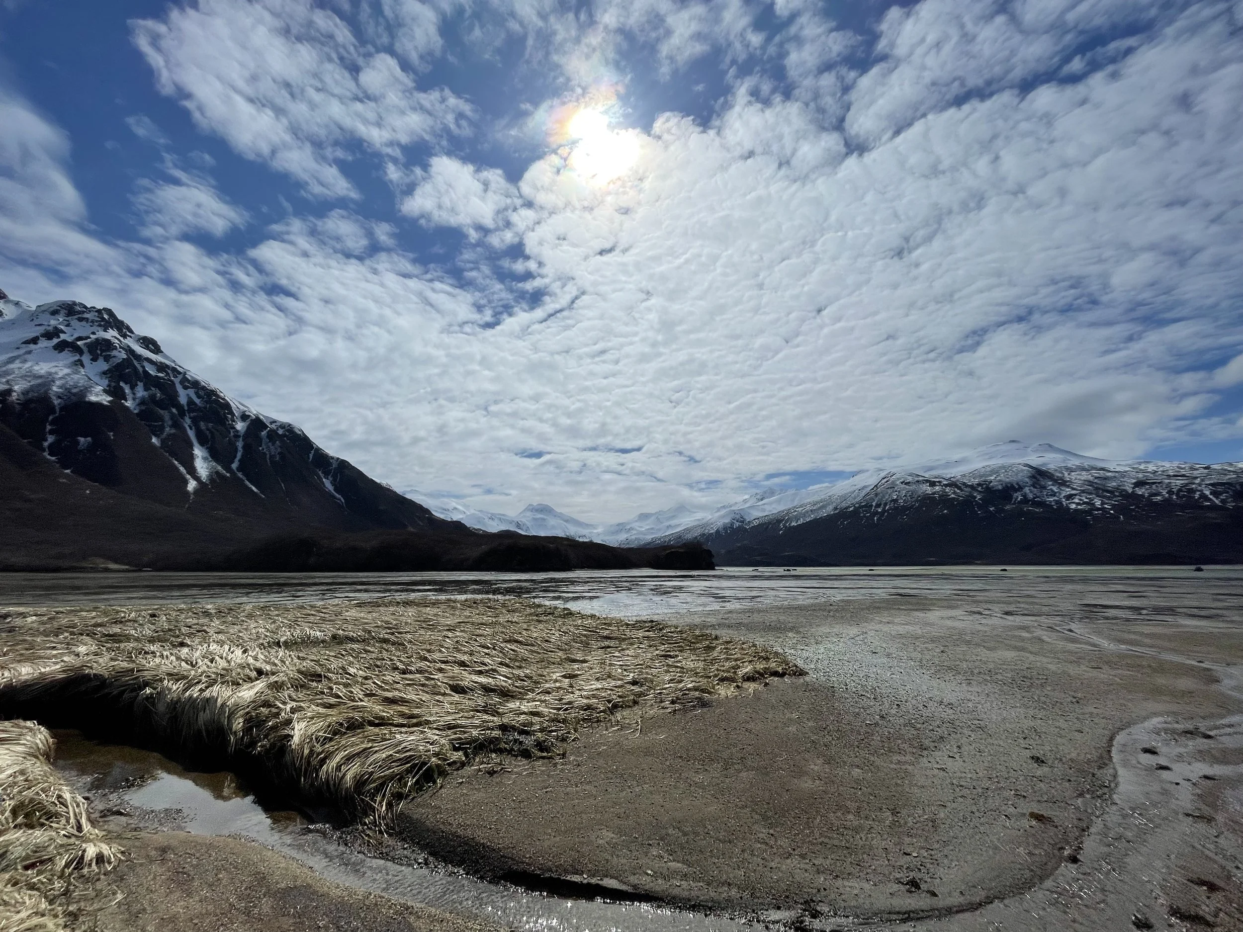 Mallard Duck Bay Updates!