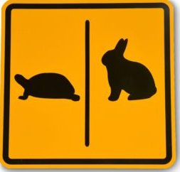 The Tortoise and the Hare