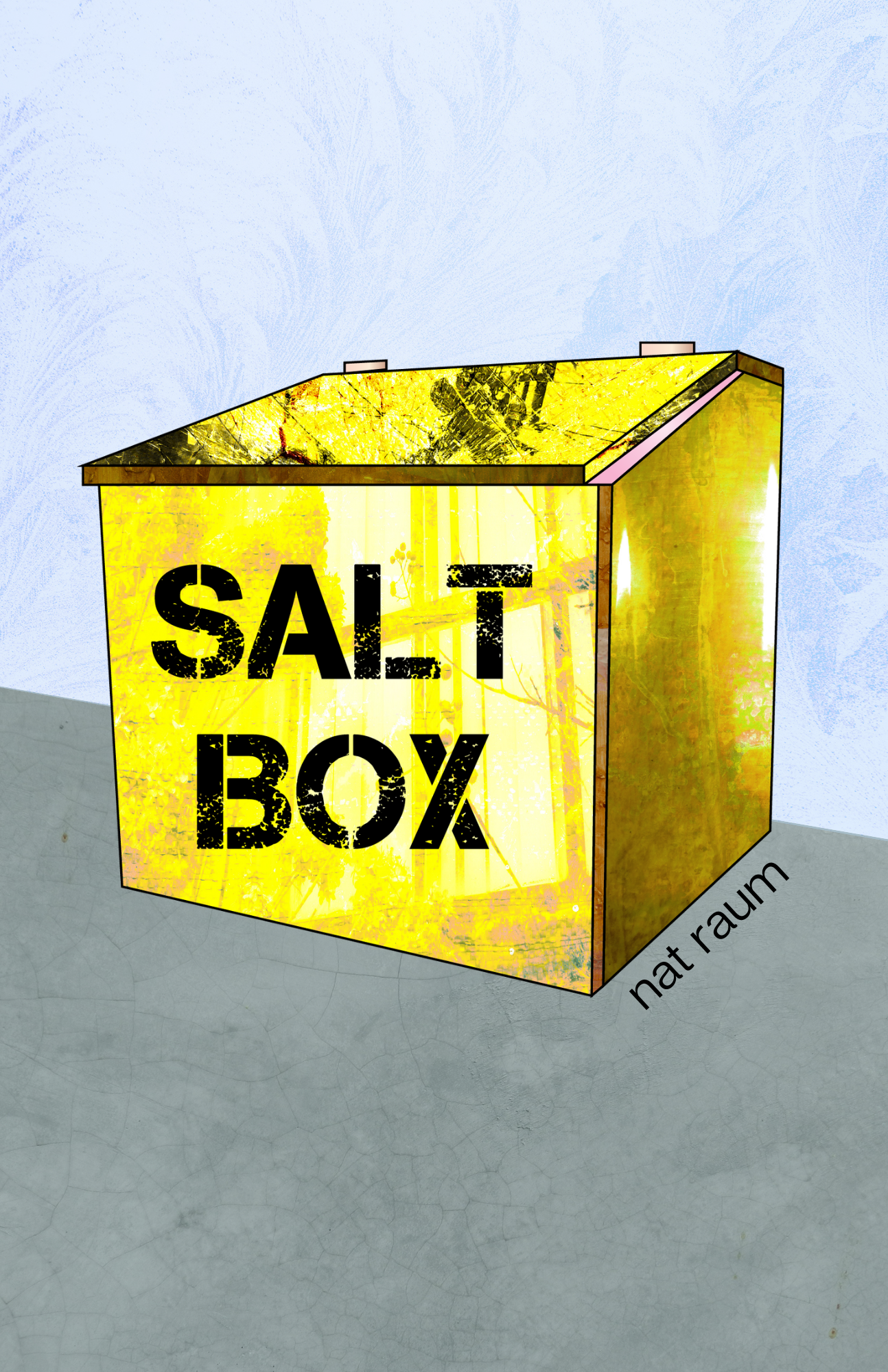 salt box — nat raum
