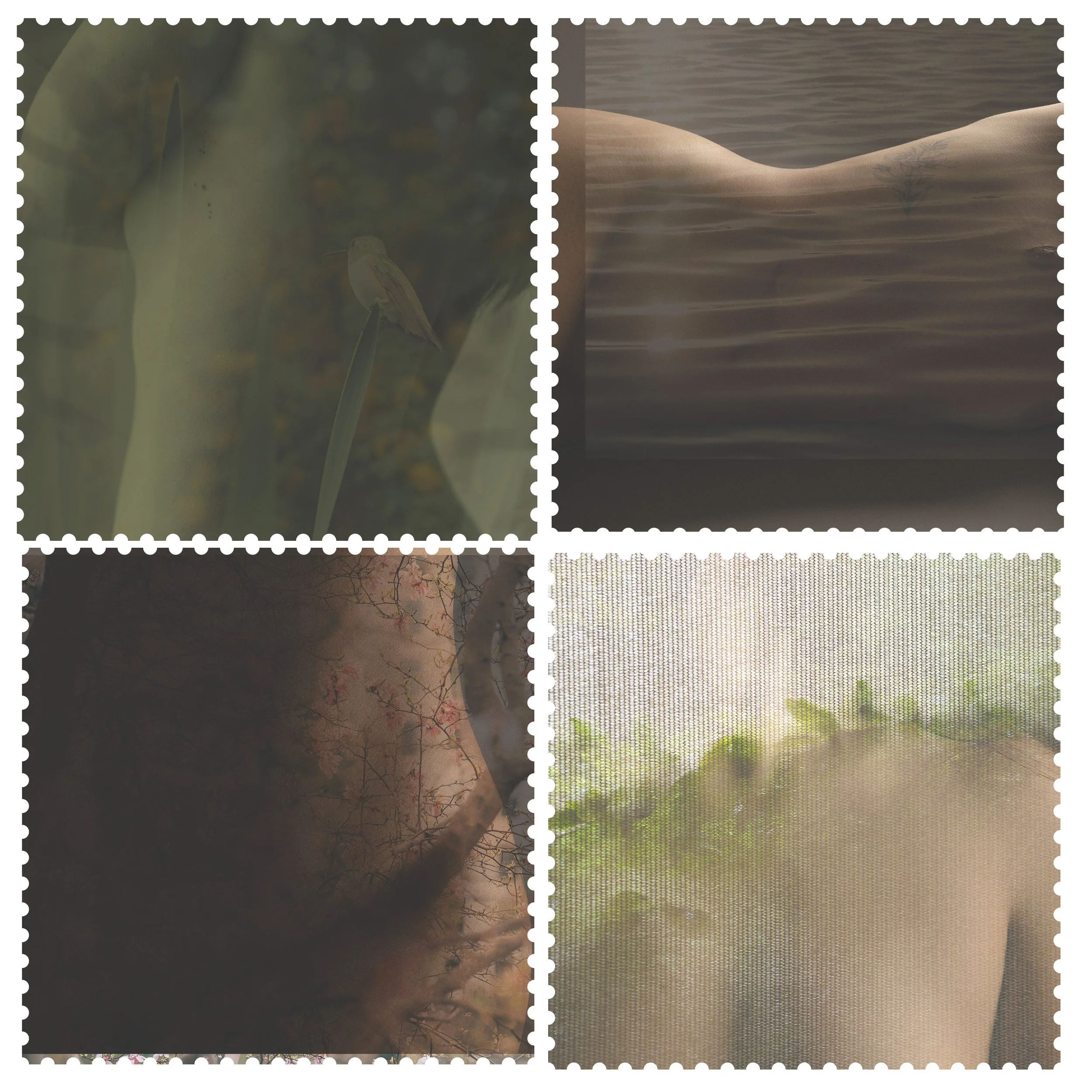 Artboard 5_.jpg