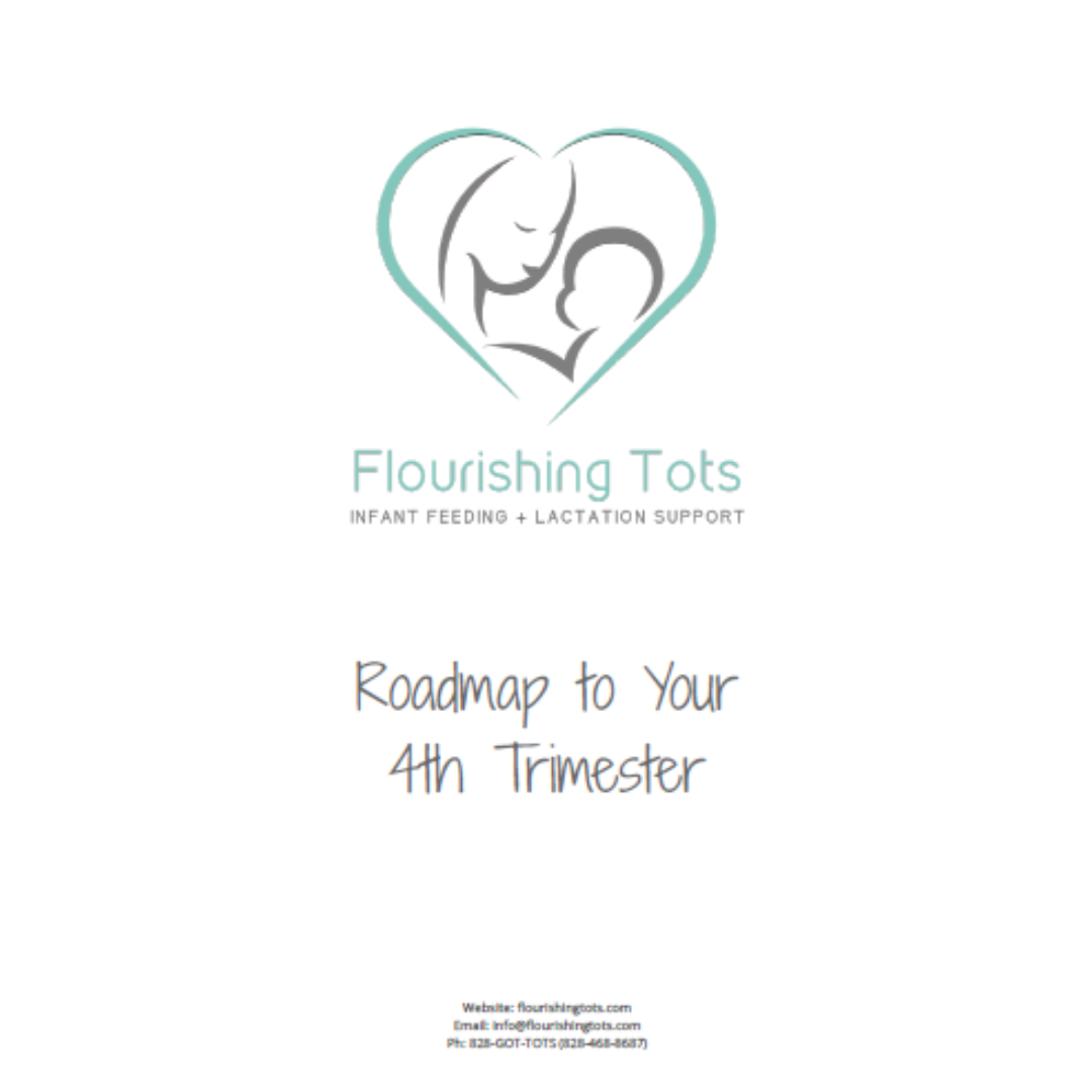Roadmap 4th Trimester Images.png