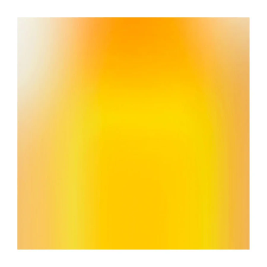 (fc) P-13,8_13,full Geshe la f  20x20.jpg