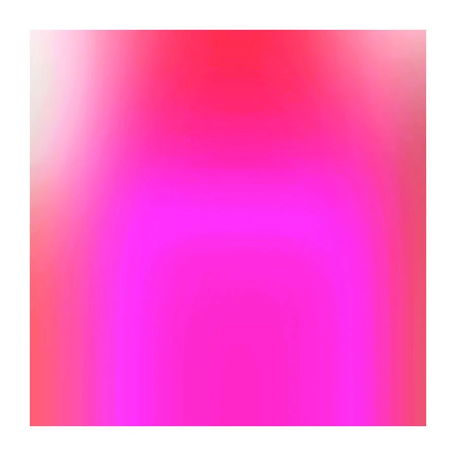 (fc) P-13,8_13,full Geshe la H 20x20.jpg