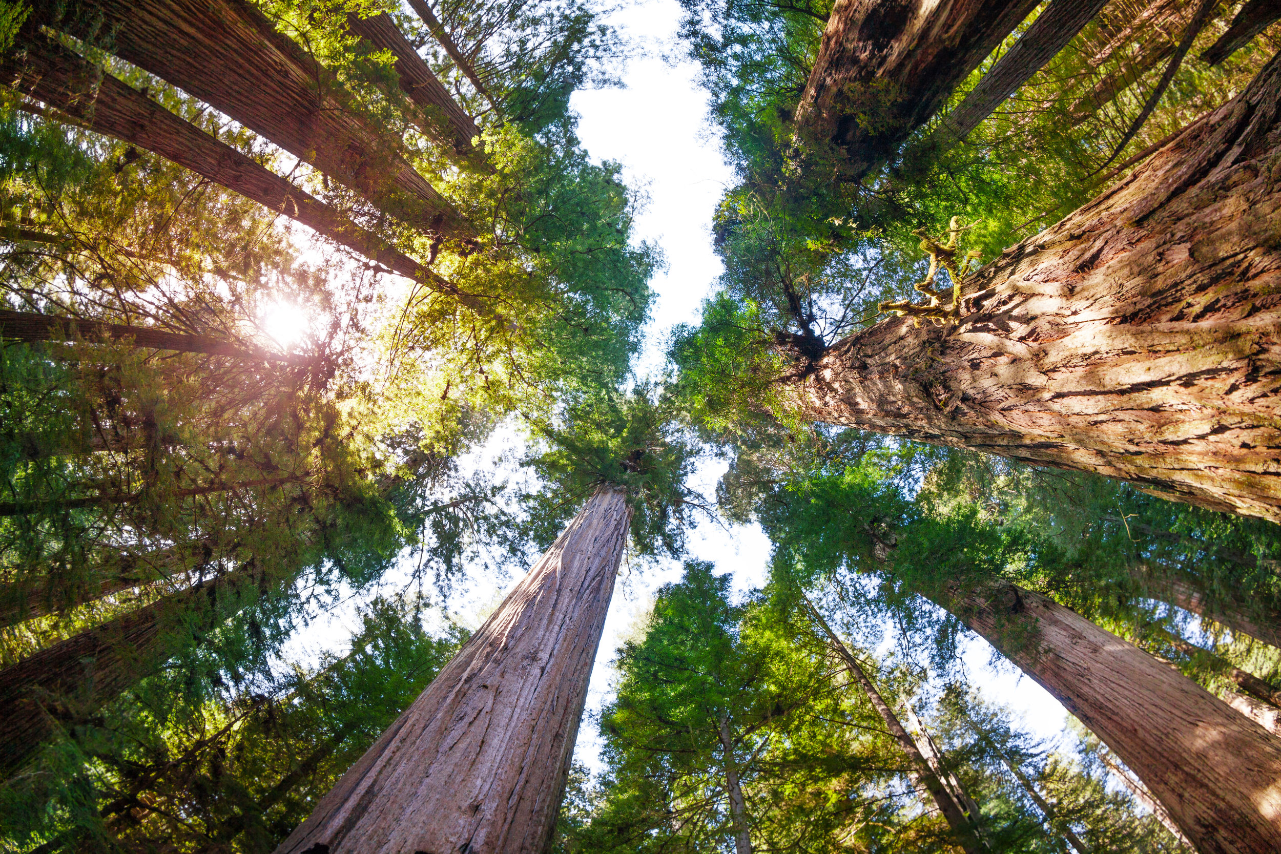 AdobeStock_145371315.jpeg