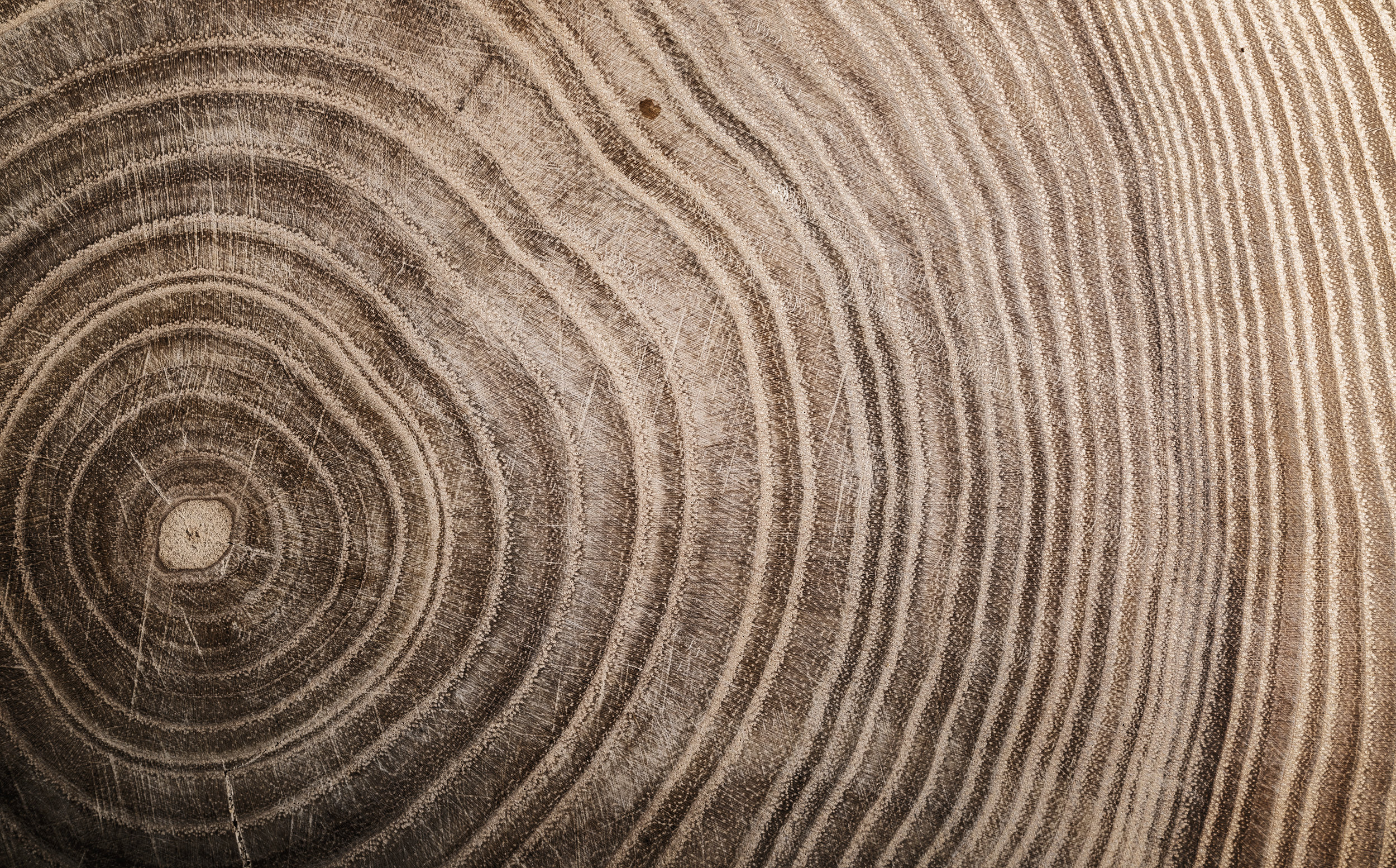 AdobeStock_202089842.jpeg