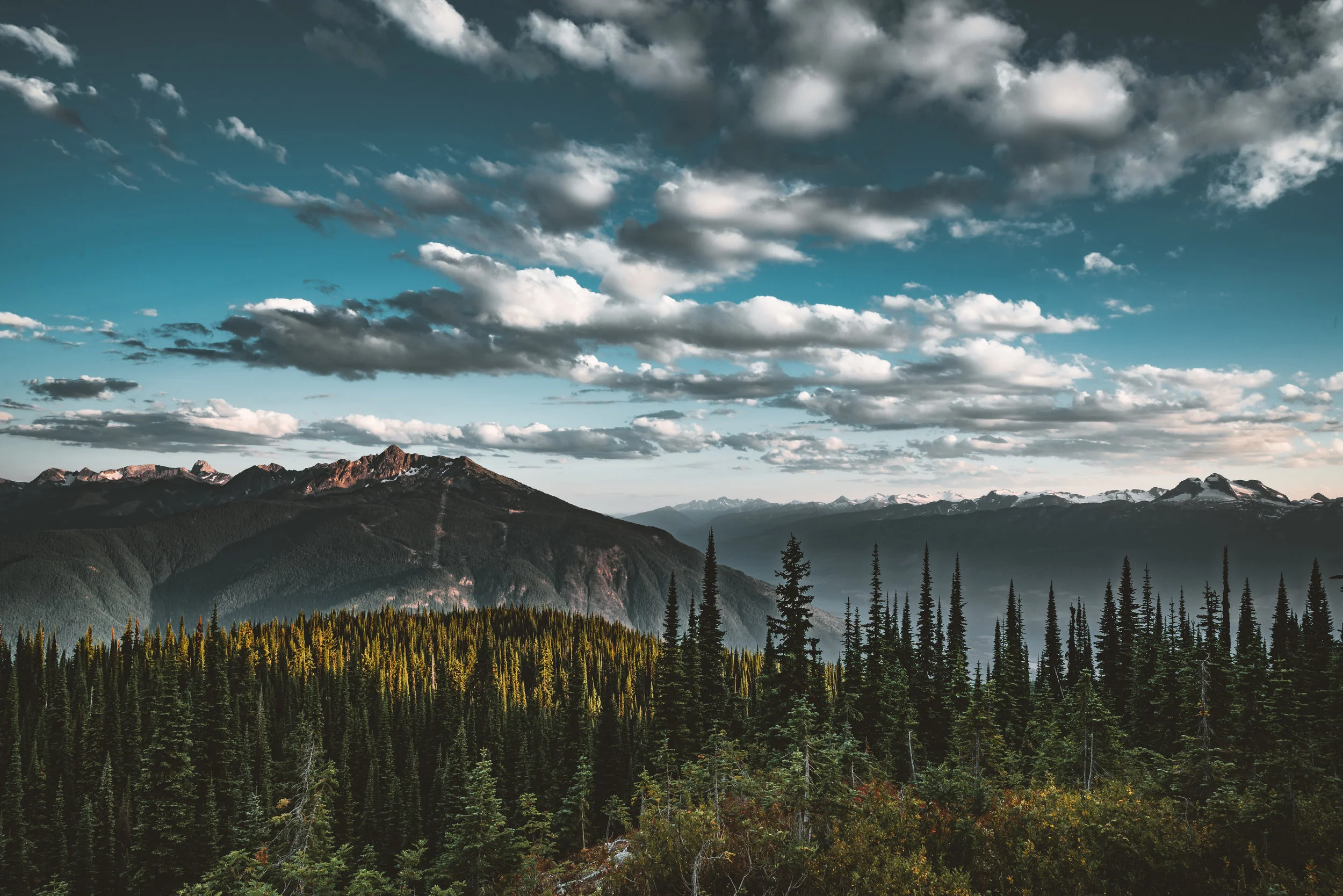 AdobeStock_214573069.jpeg