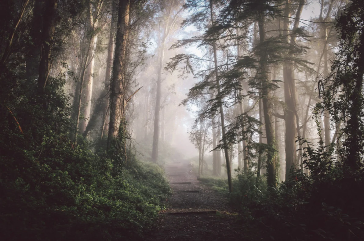 Should you divest from fossil fuels?