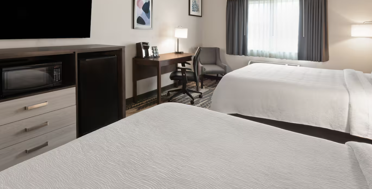 Screenshot 2025-05-06 113652.png