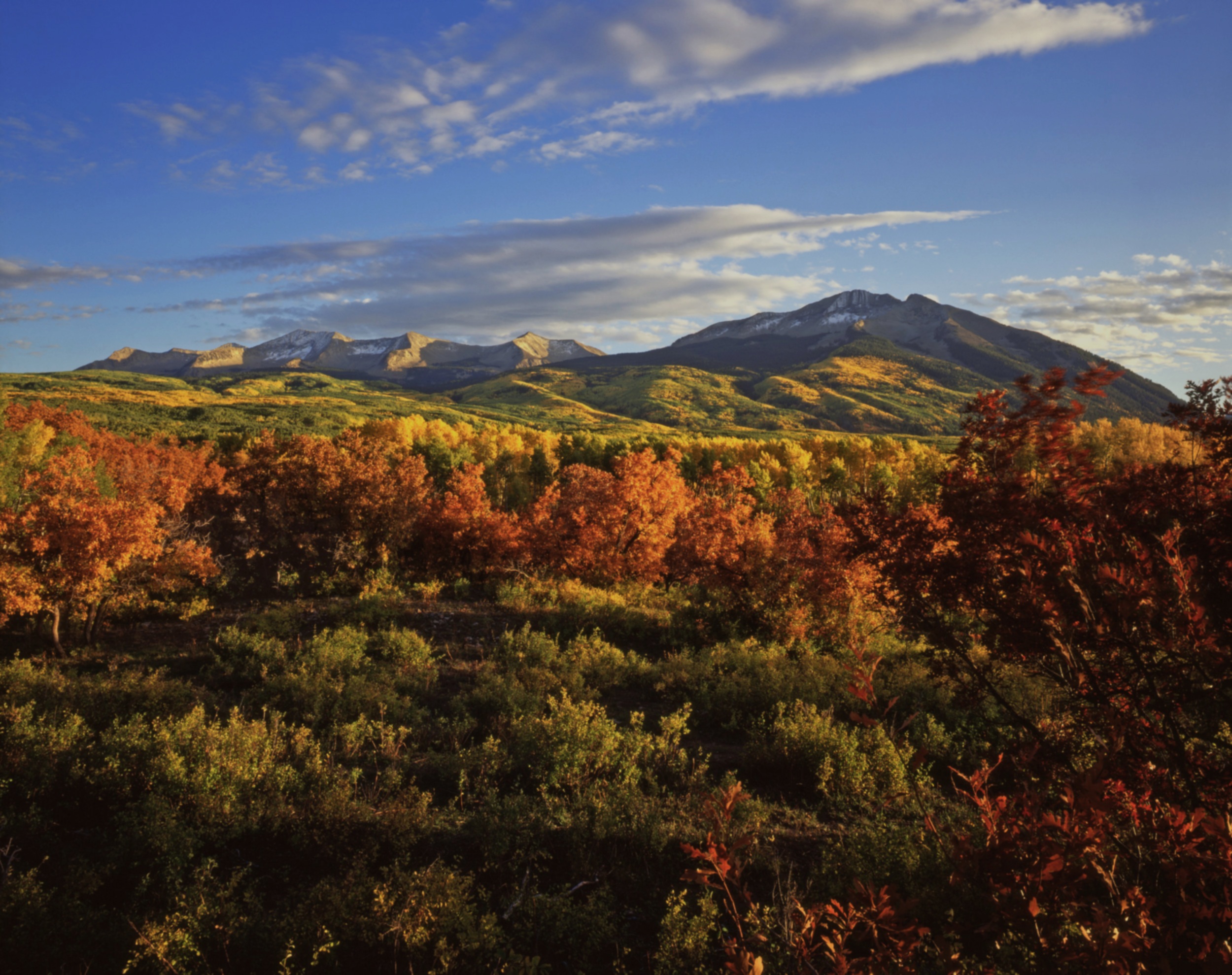 iStock_000006287392XLarge.jpg