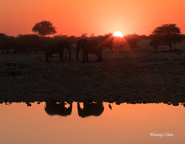  Namibia 