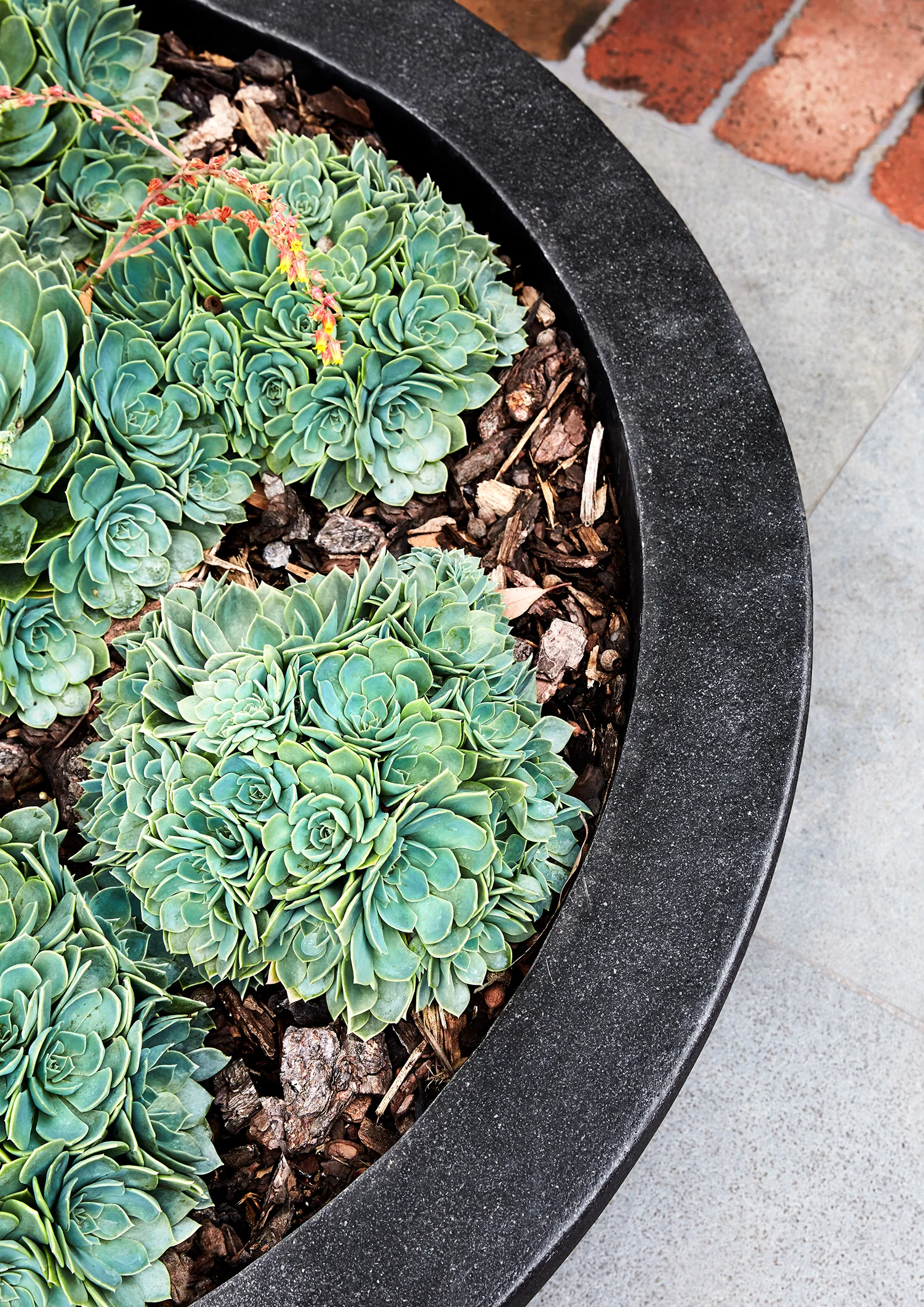 © CAITLIN MILLS PHOTOGRAPHY